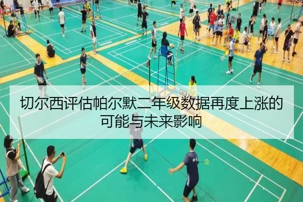 切尔西评估帕尔默二年级数据再度上涨的可能与未来影响